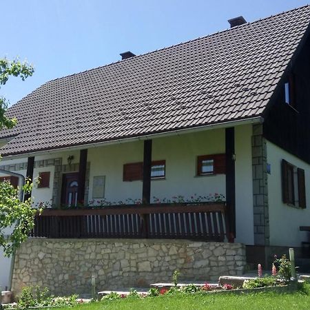 House Elena - Apartment-4 Poljanak Εξωτερικό φωτογραφία